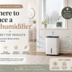 The Ultimate Dehumidifier Placement Guide